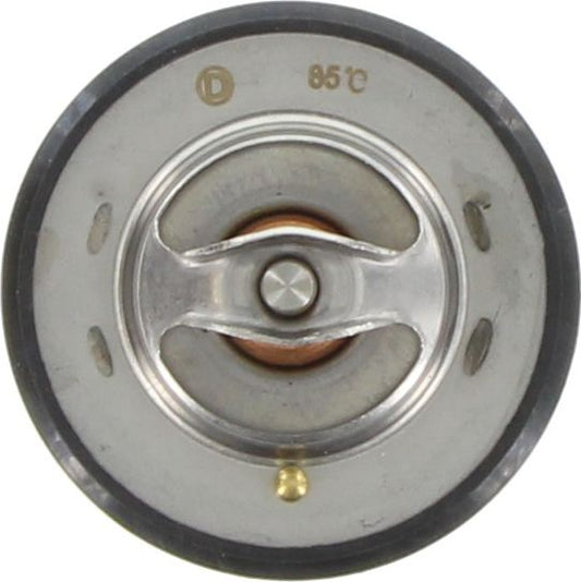 Dayco Thermostat DT139H
