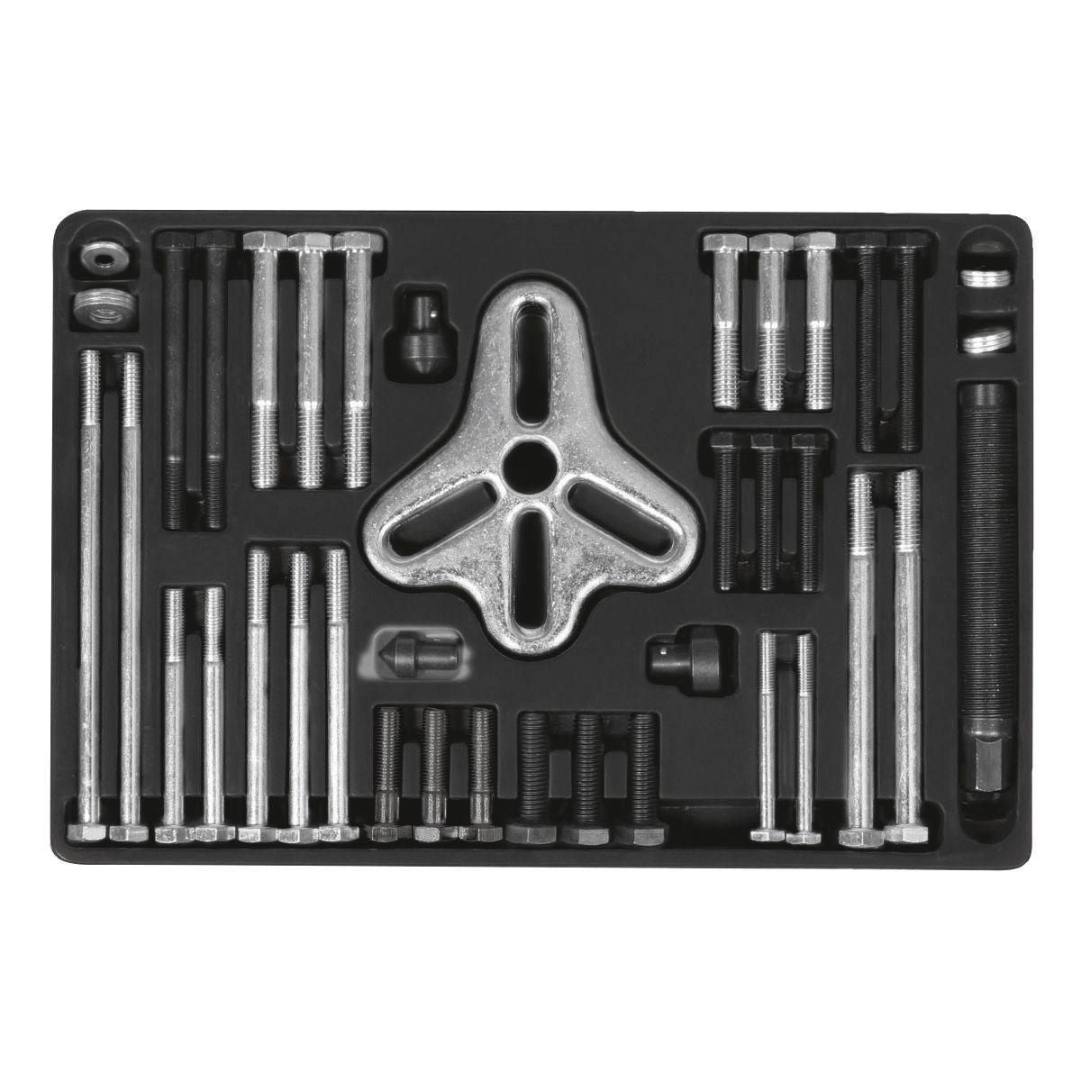 Toledo Harmonic Balancer Puller Set 46 Piece 254230