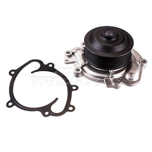 Tru-Flow Water Pump (Saleri Italy) TF8431