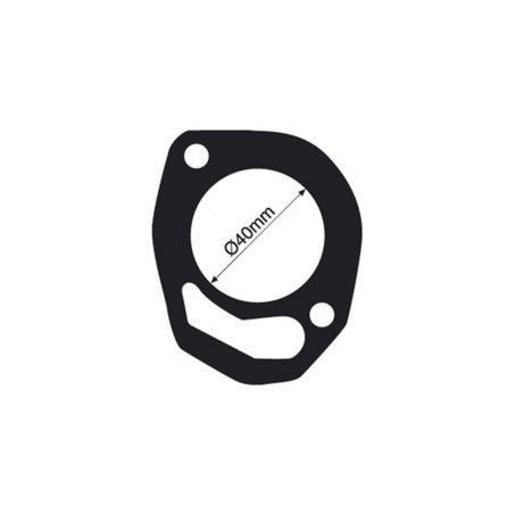 Tridon Thermostat Gasket TTG55