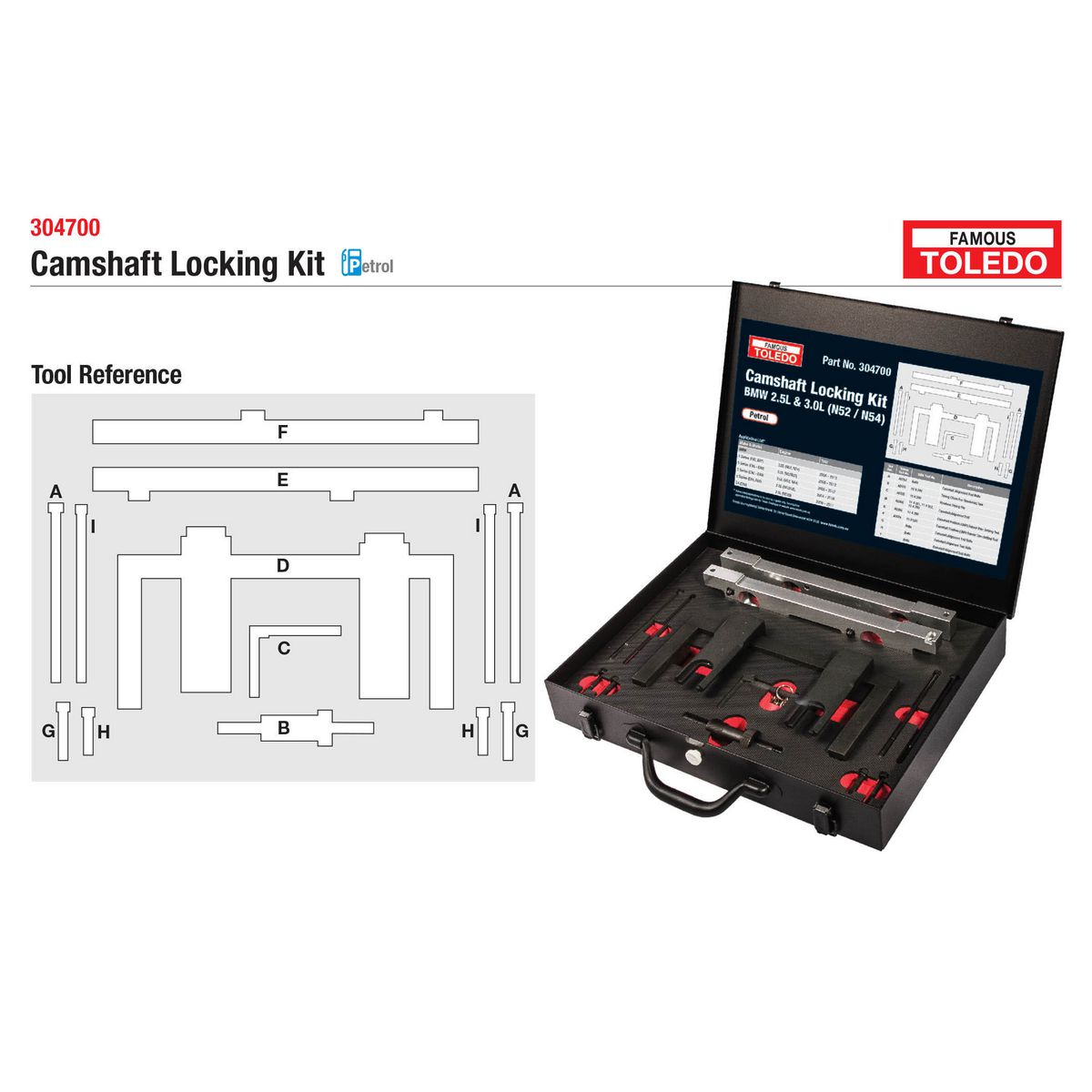 Toledo Camshaft Locking Kit 304700