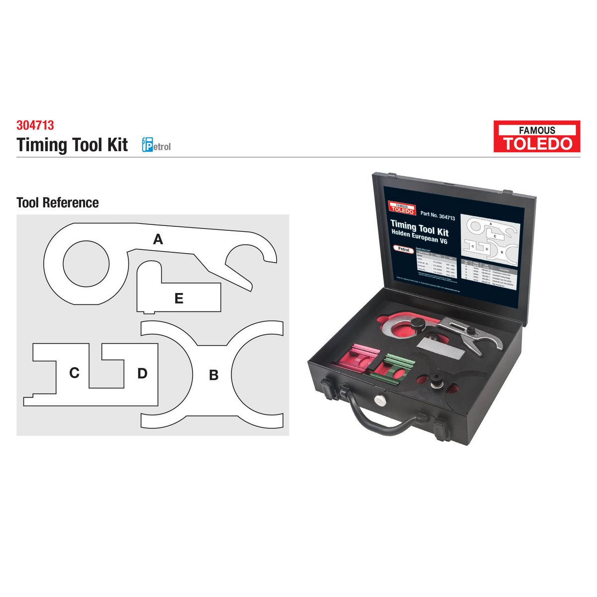 Toledo Timing Tool Kit 304713