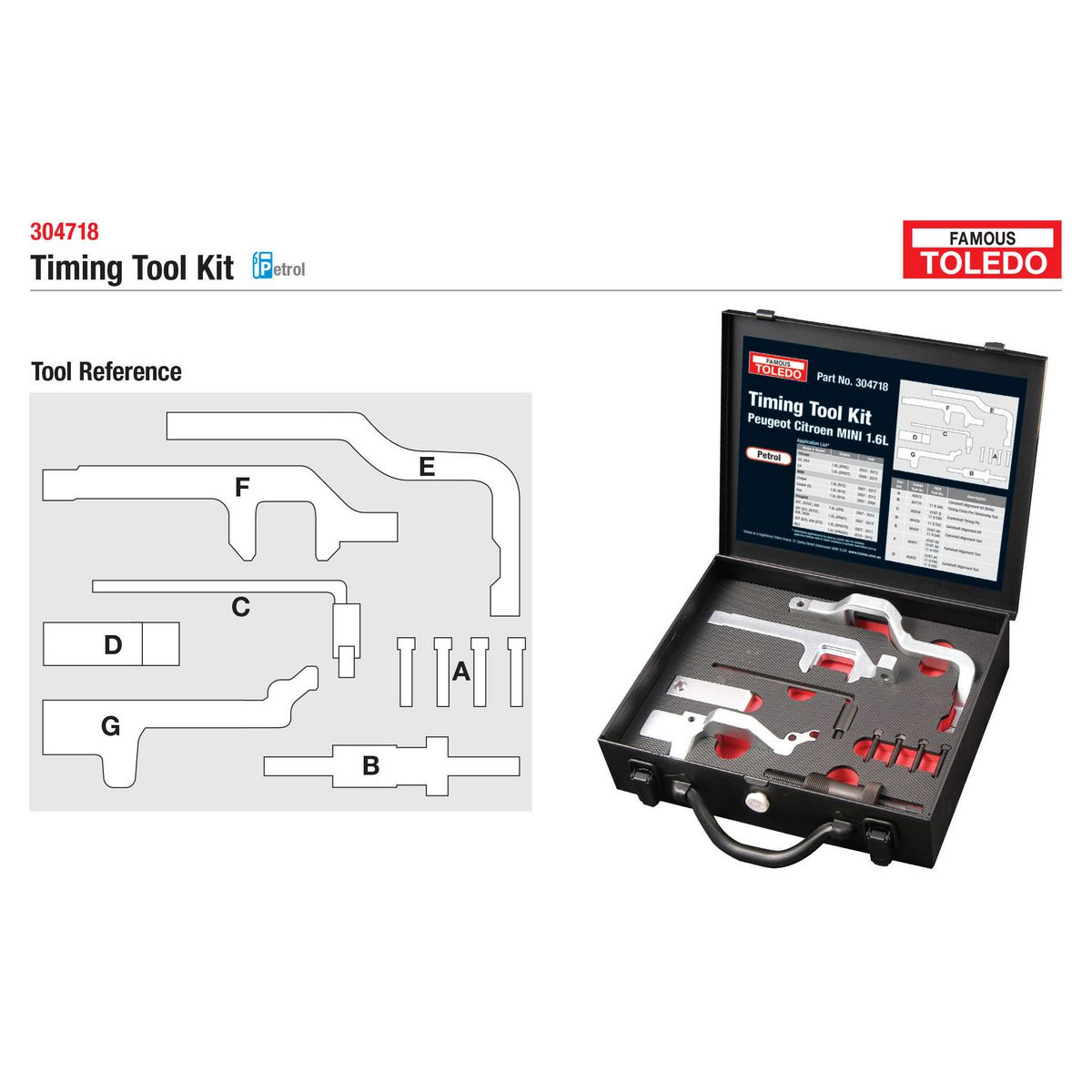 Toledo Timing Tool Kit 304718
