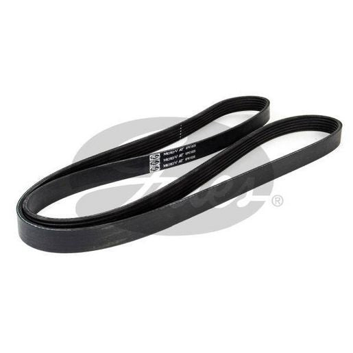 Gates Ribbed Belt 6PK1835