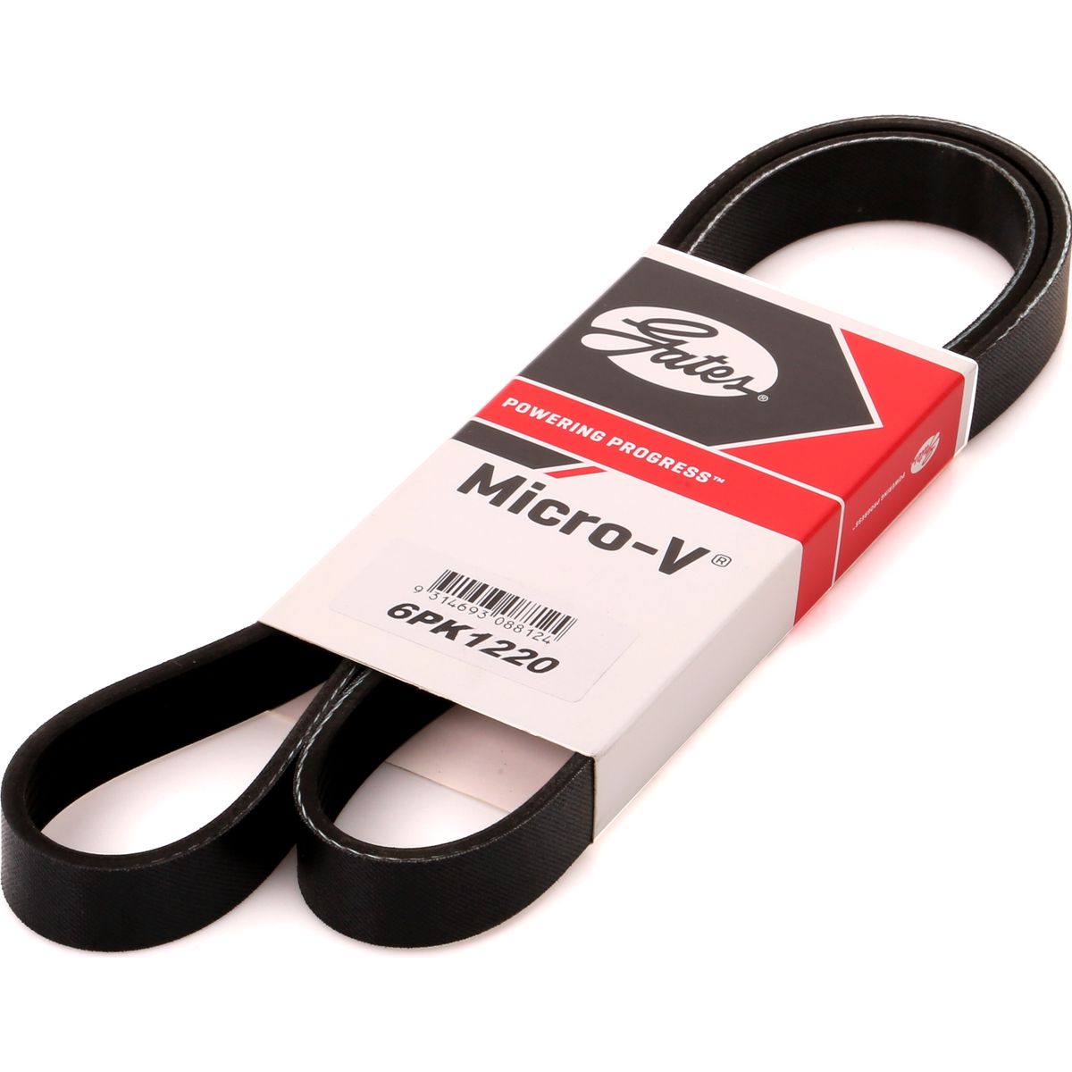 Holden Ribbed Belt 6PK1220