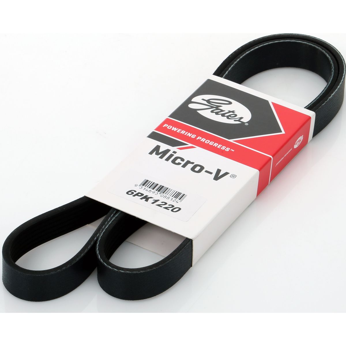 Holden Ribbed Belt 6PK1220