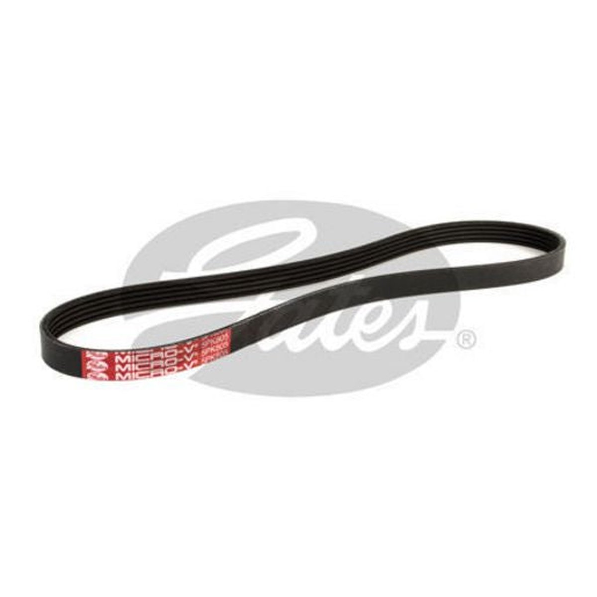 Gates Ribbed Belt 5PK805