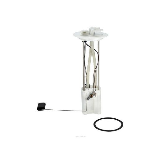 Goss Fuel Pump Module GE167