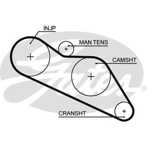 Gates Timing Belt T075