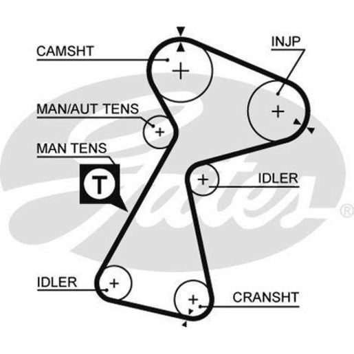 Gates Timing Belt T1562