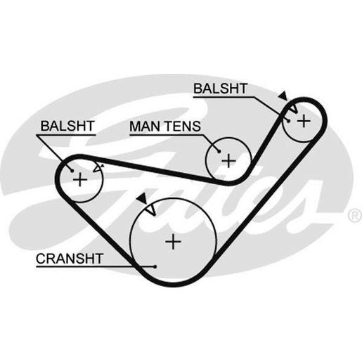 Gates Timing Belt T979