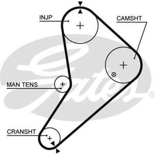 Gates Timing Belt T080
