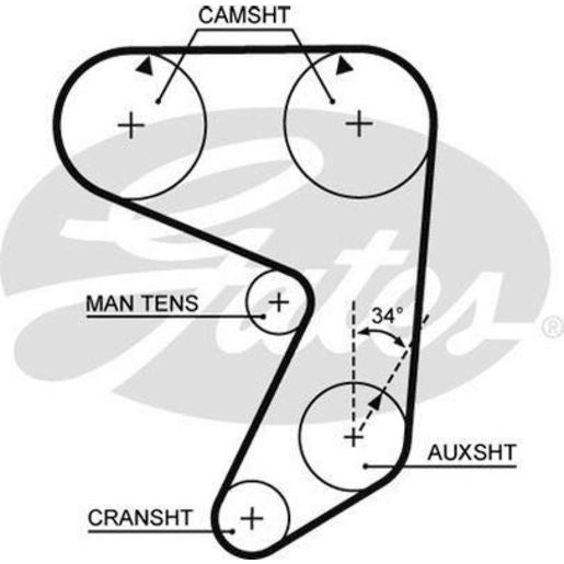 Gates Timing Belt T019