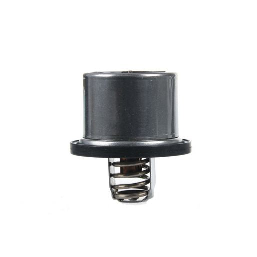 Tridon Thermostat Boxed TT4079-174