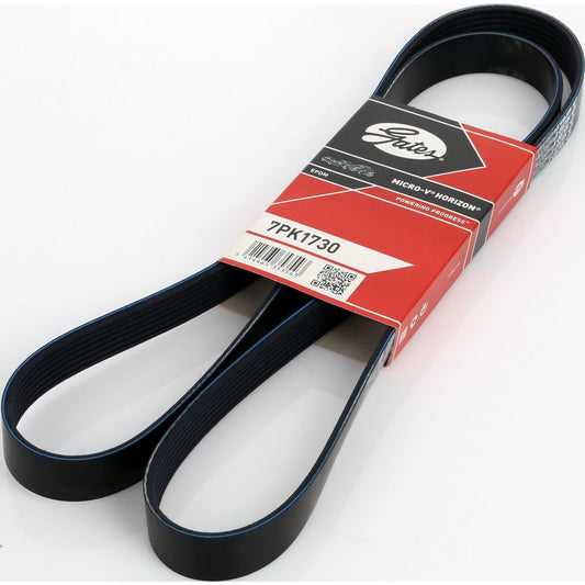 Dayco Ribbed Belt 7PK1730