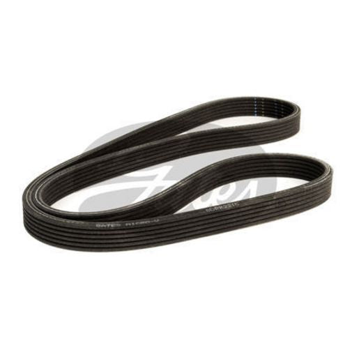 Gates Micro-V Belt 6DPK2215