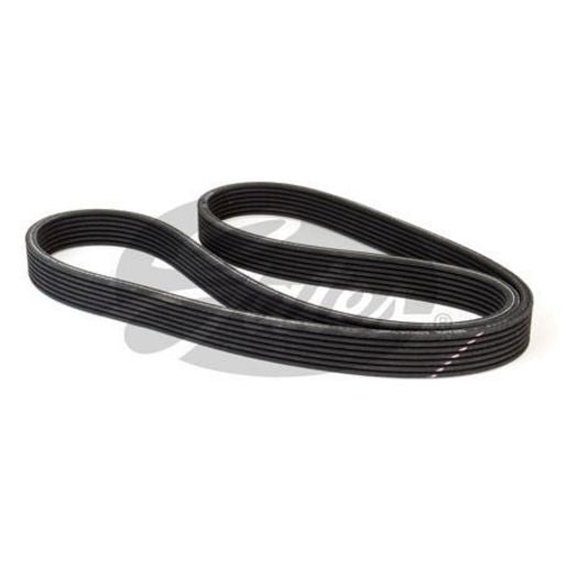 Contitech Ribbed Belt 7DPK2074