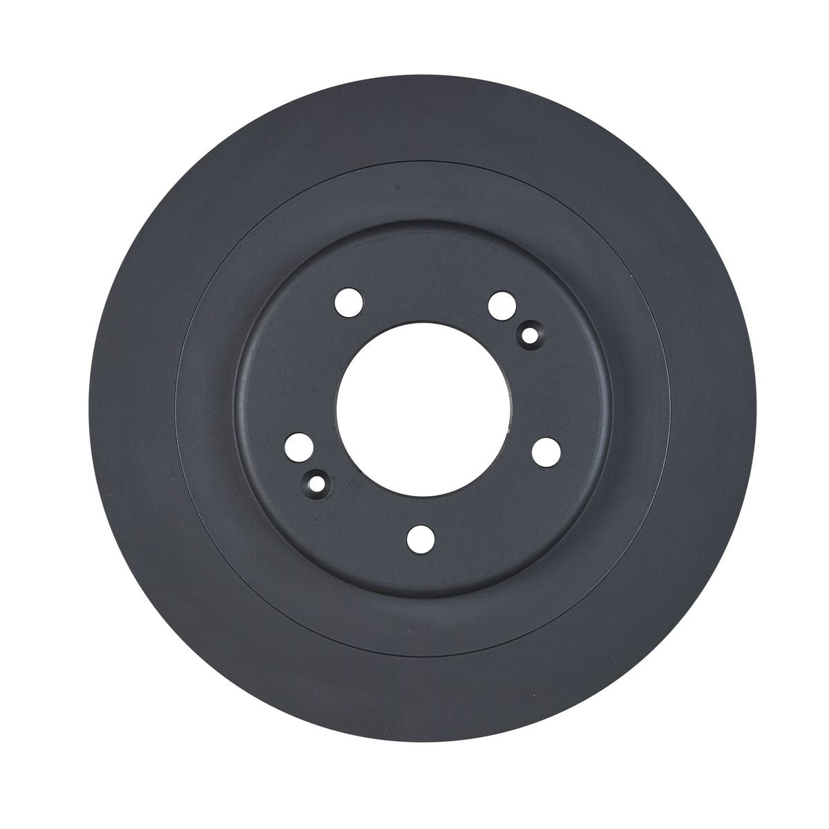 RDA OE Replacement Brake Rotor Single 300mm Rear RDA8199