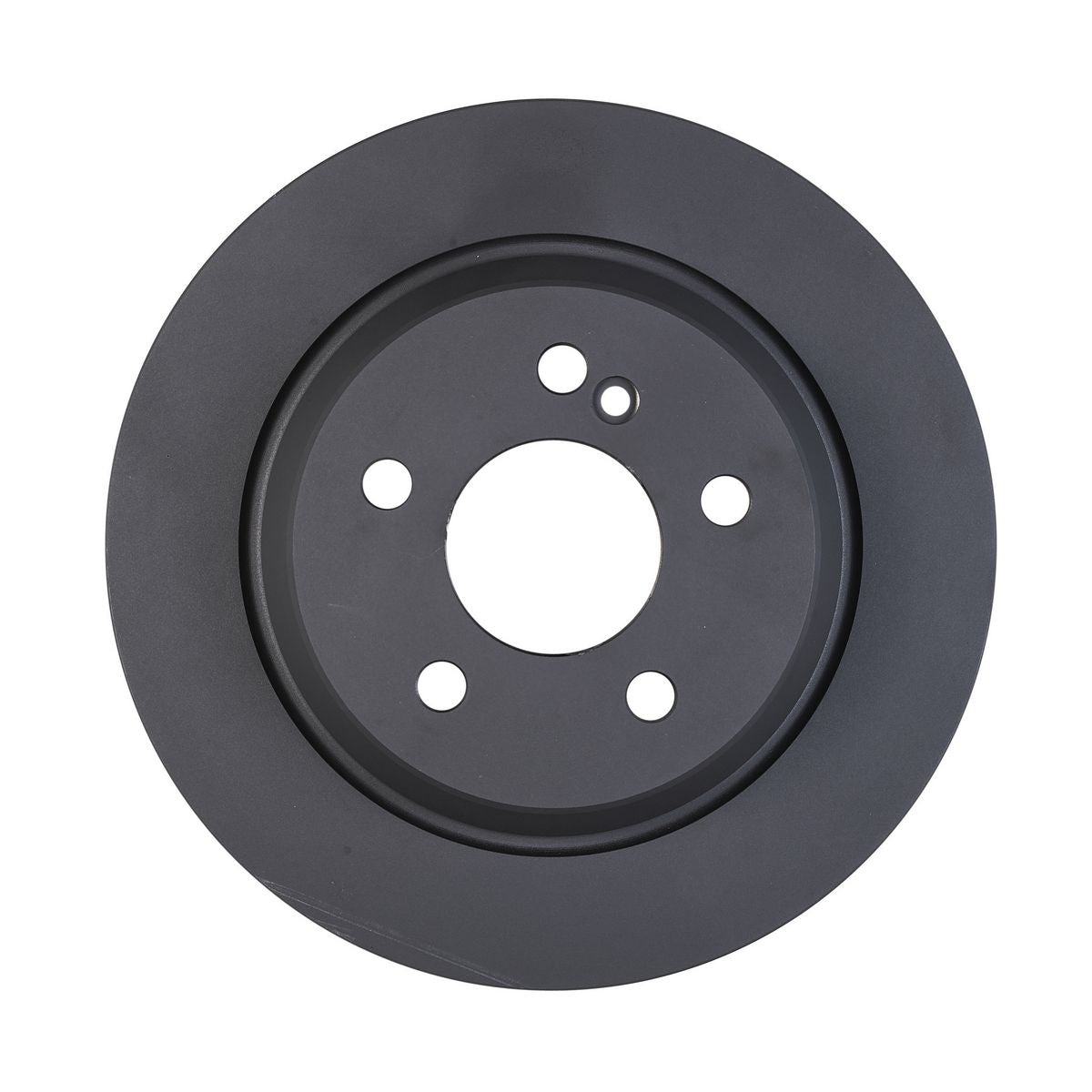 RDA OE Replacement Brake Rotor Single 300mm Rear RDA8243