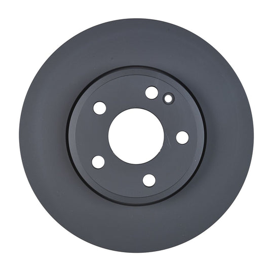 RDA OE Replacement Brake Rotor Single 295mm Front RDA8343