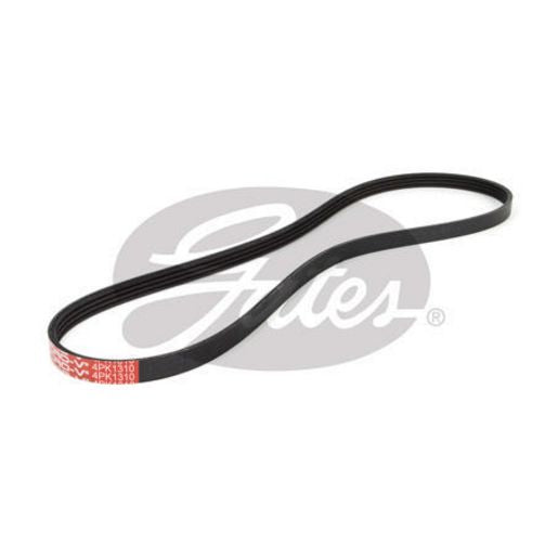 Dayco Ribbed Belt 4PK1310