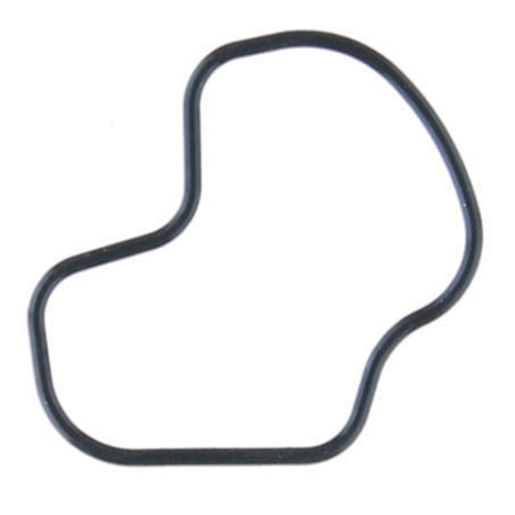 Permaseal Water Outlet Gasket TH209