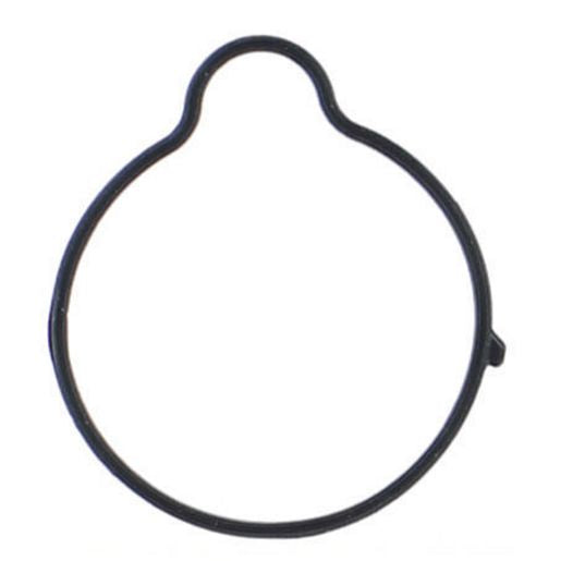 Permaseal Water Outlet Gasket WO135