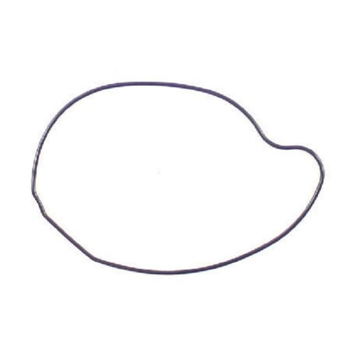 Permaseal Water Pump Gasket PB731