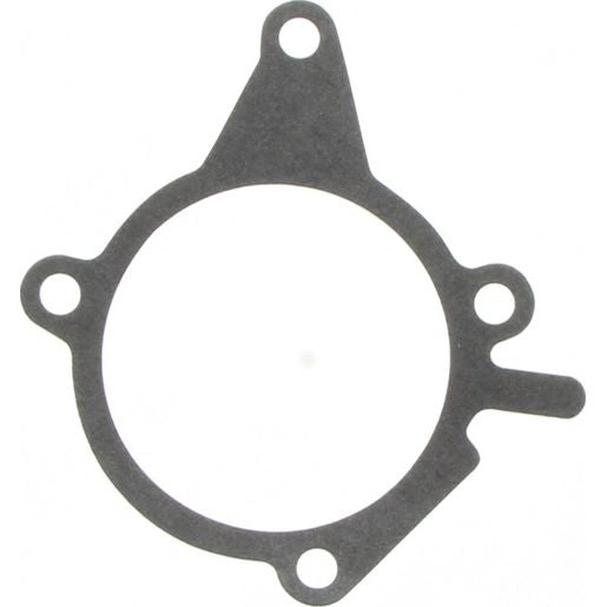Payen Water Pump Gasket KA728