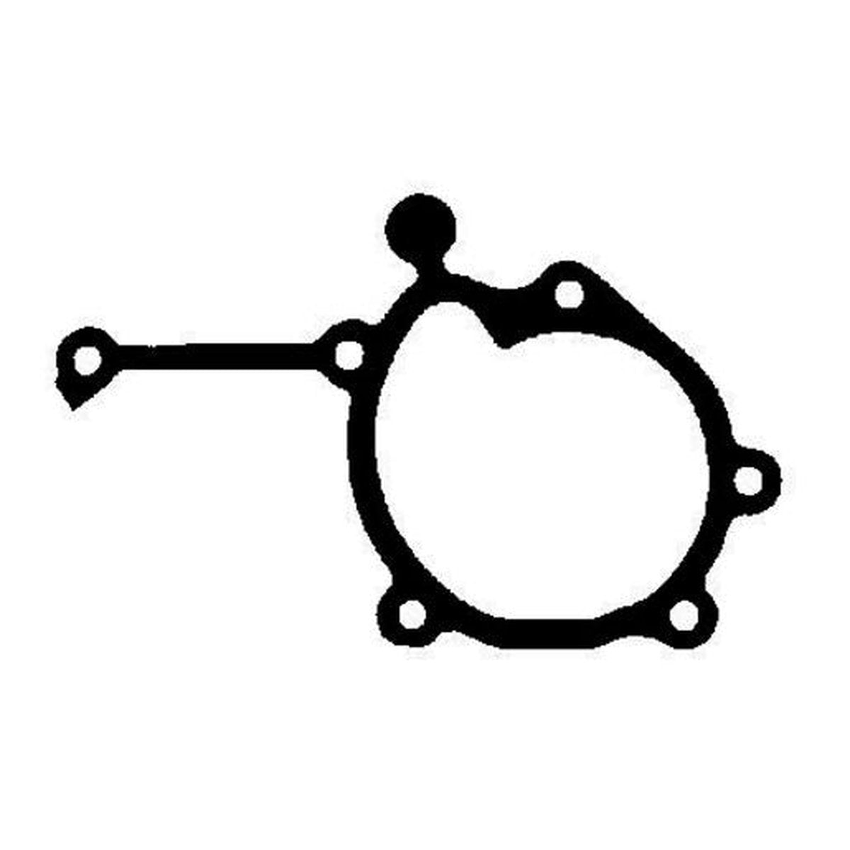 Payen Water Pump Gasket KA715