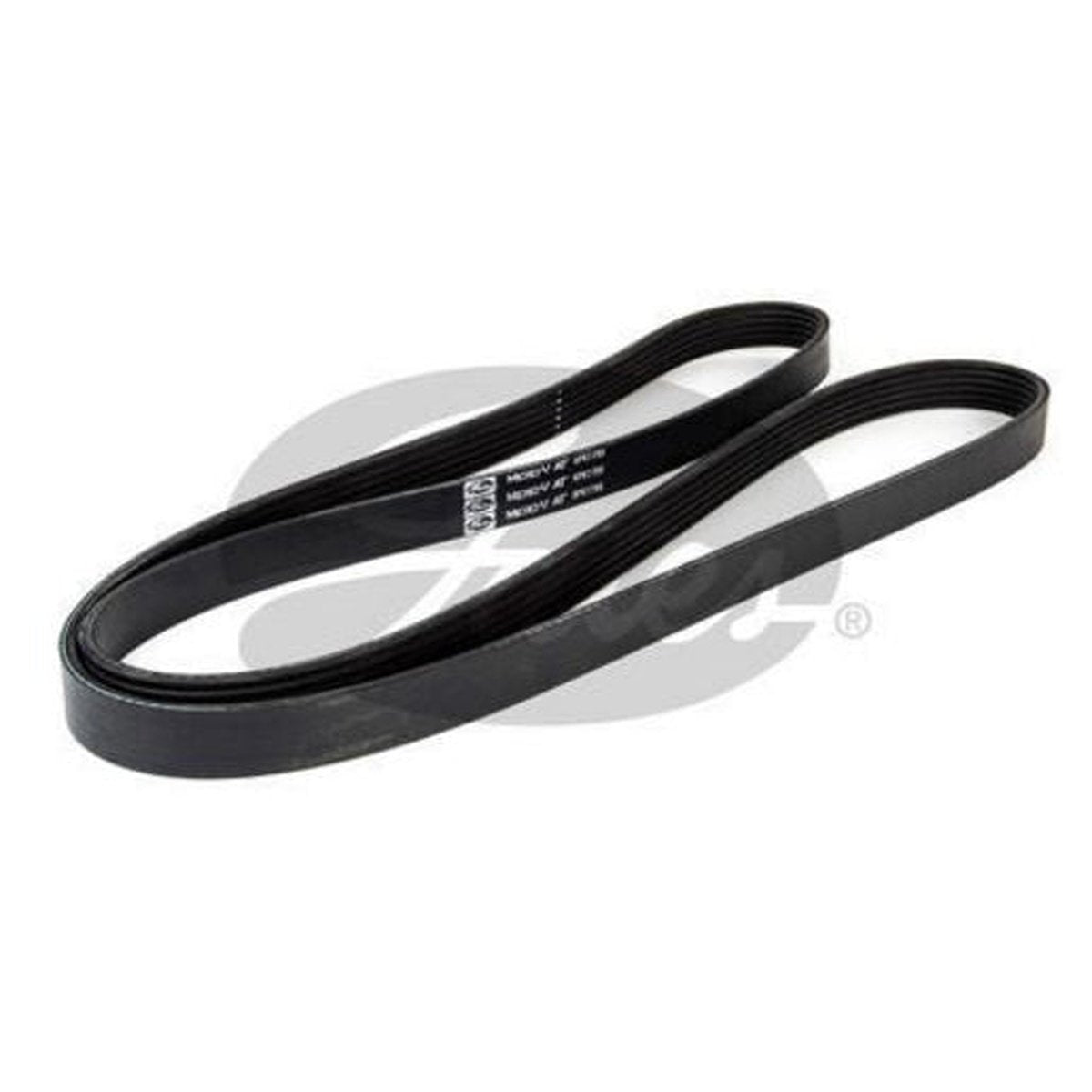 Gates Ribbed Belt 6PK1795