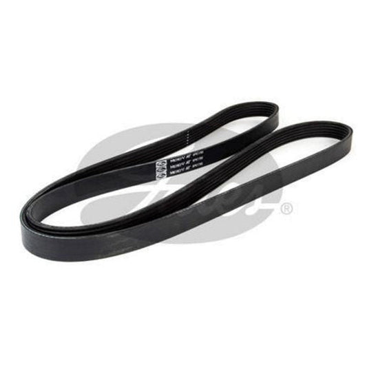 Gates Ribbed Belt 6PK1795