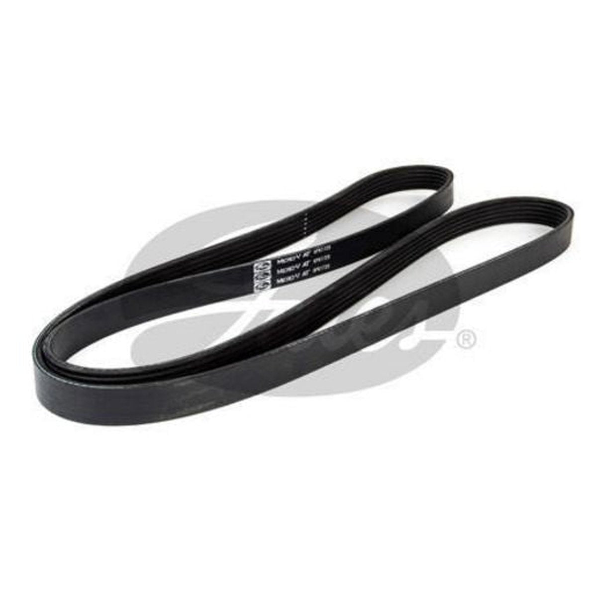 Contitech Ribbed Belt 6PK1725