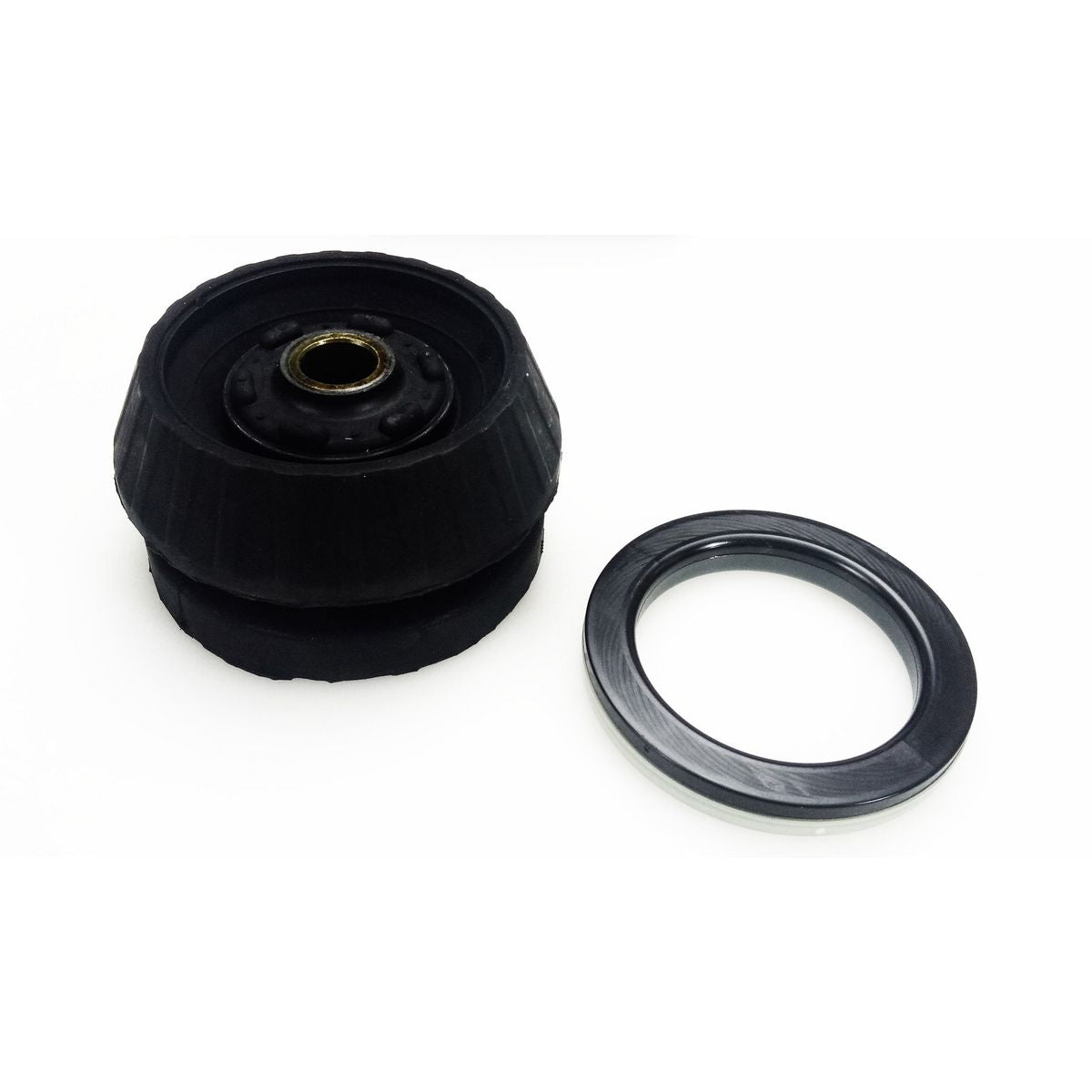Mackay Strut Mounting Kit SM2551K
