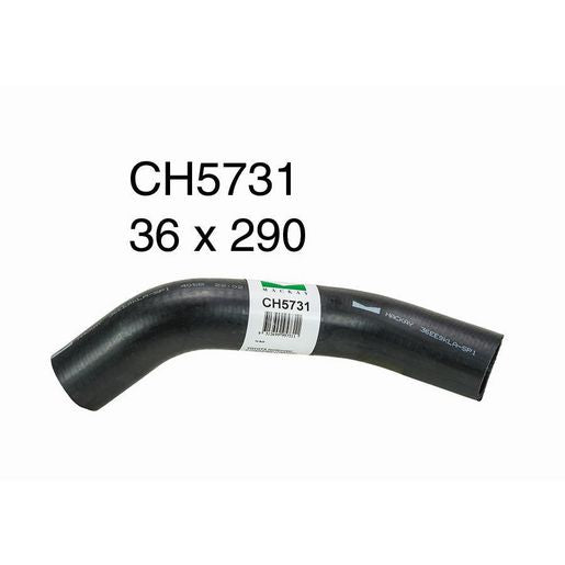 Mackay Radiator Hose Bottom CH5731