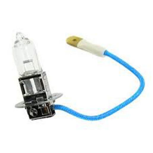 Philips Plus 30 H1 Globe 12V 55W (1Pk) 12336