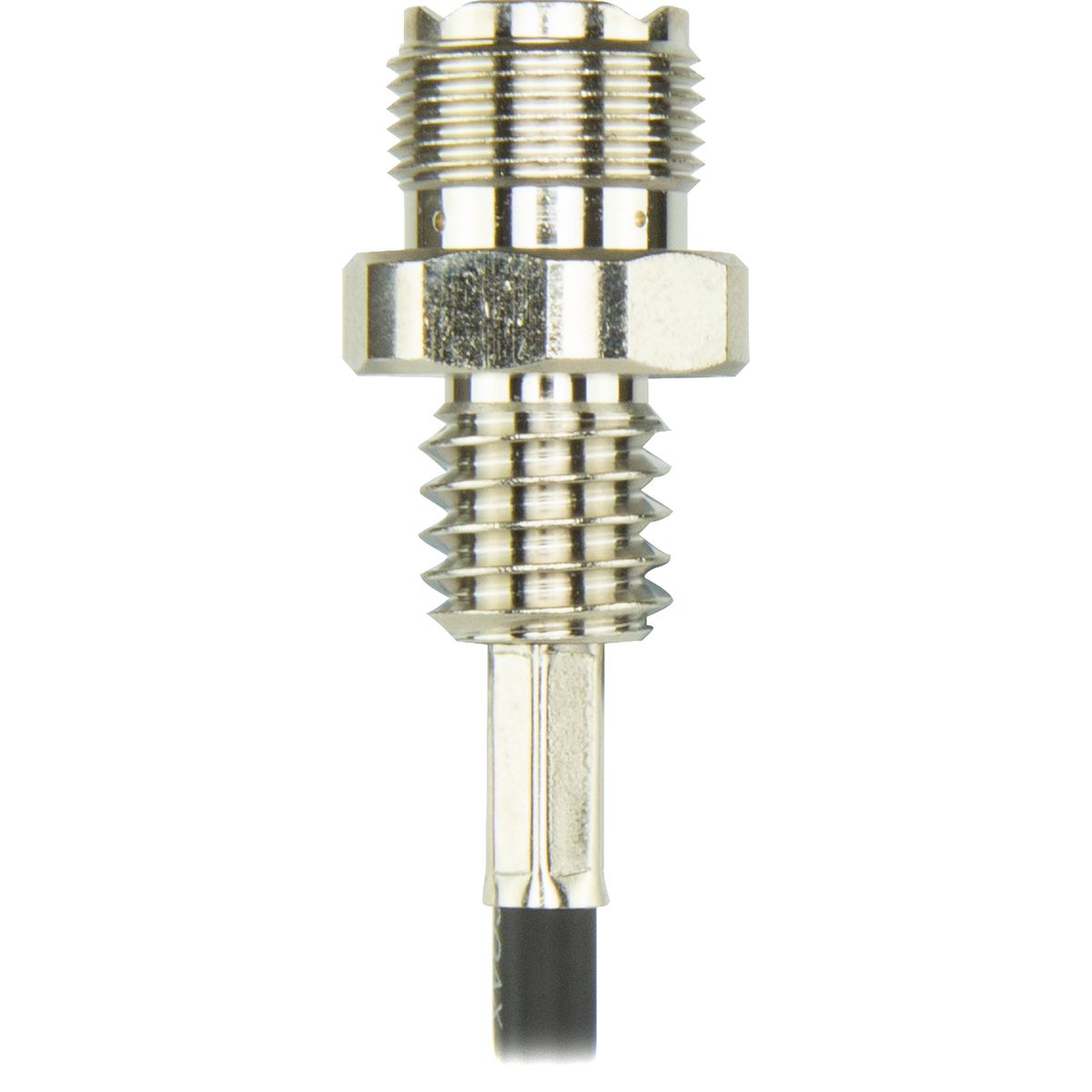 Champion Fasteners Fuse Glass 3Ag 15Amp C2005-8