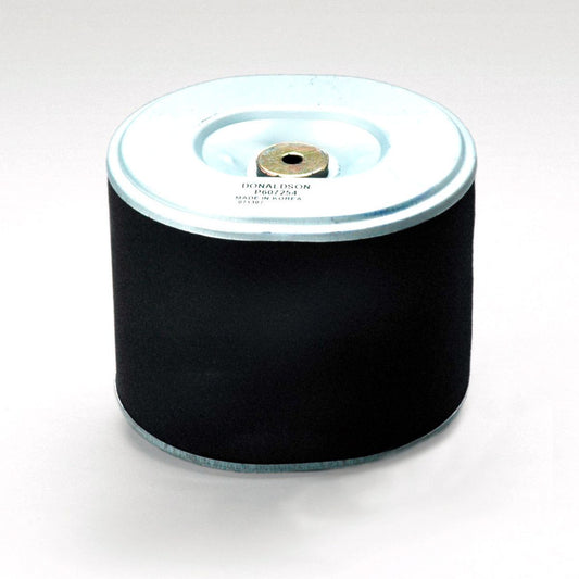 Donaldson Air Filter P607254