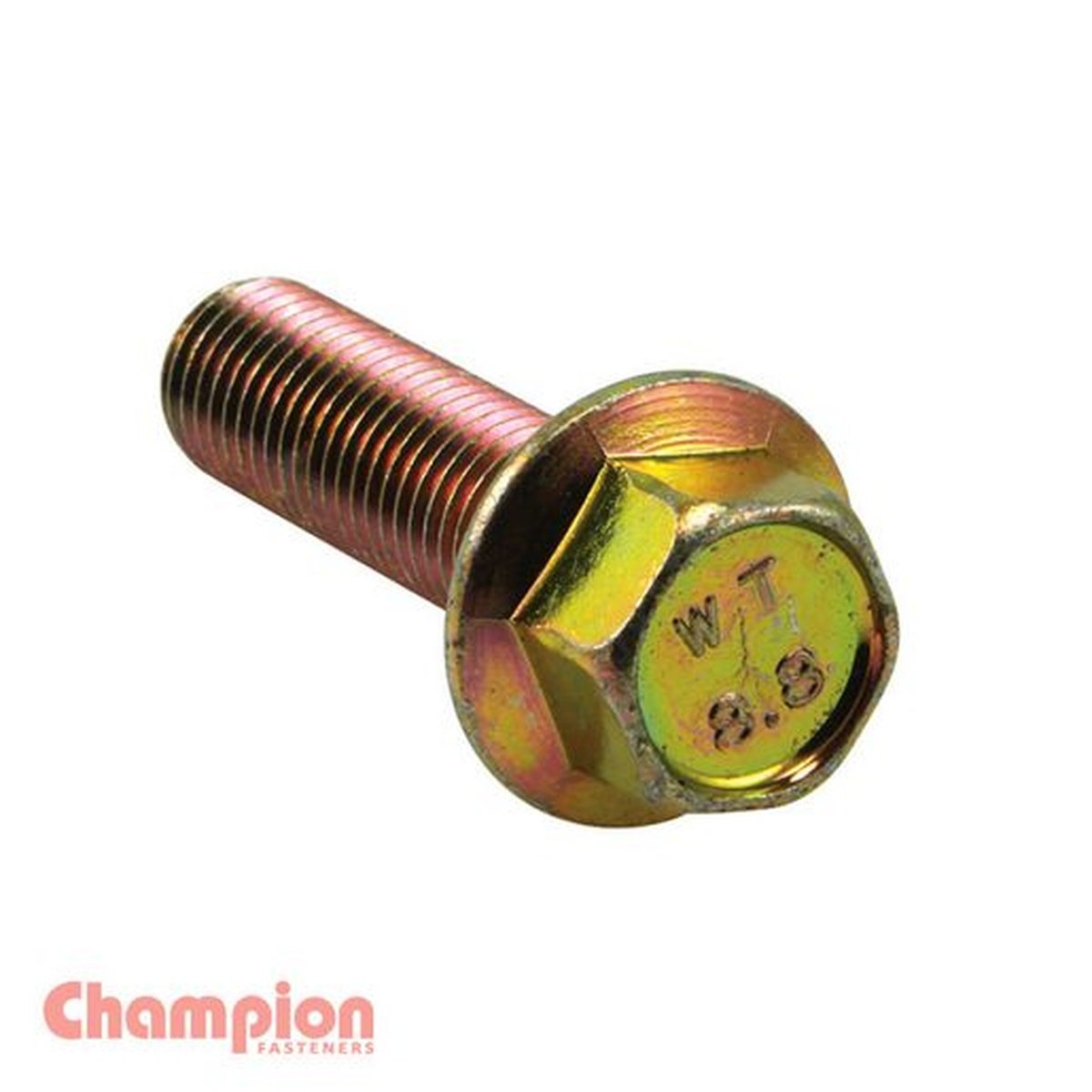 Champion Hex Screw Set Flanged HT M5 x 25mm 20Pk C495-2