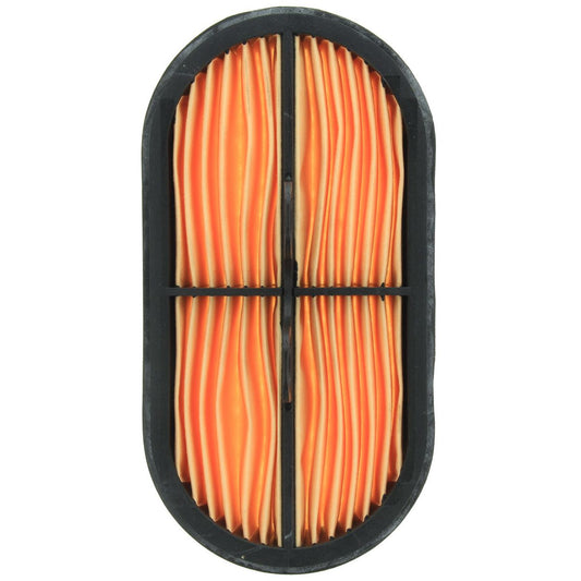 Donaldson Air Filter P600975