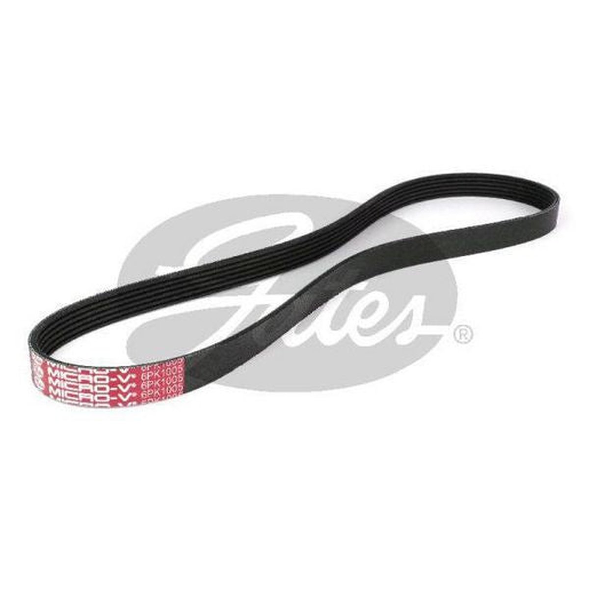 Contitech Ribbed Belt 6PK1005