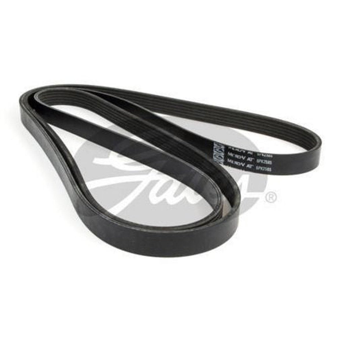 Contitech Ribbed Belt 6PK2585