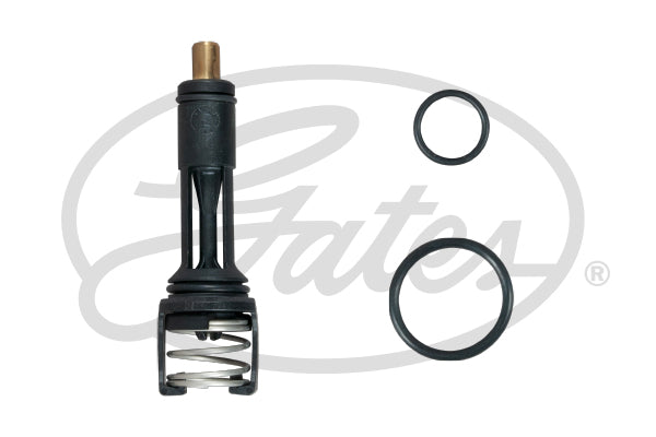 Gates Thermostat TH606113G1