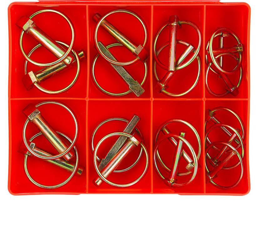 Champion Lynch Pin Assortment Pack Metric 8 Sizes 18Pk CA18