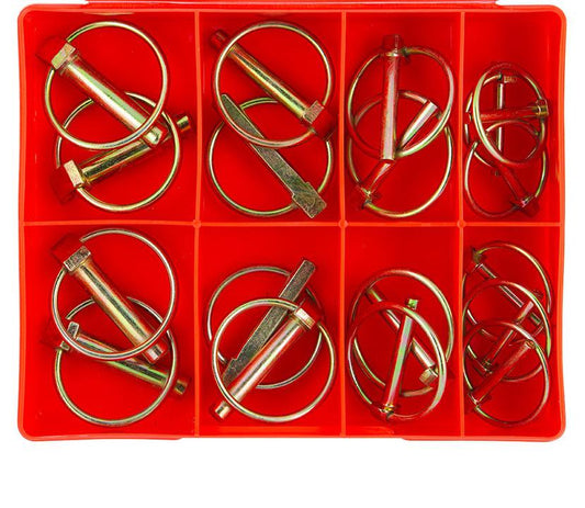 Champion Lynch Pin Assortment Pack Metric 8 Sizes 18Pk CA18