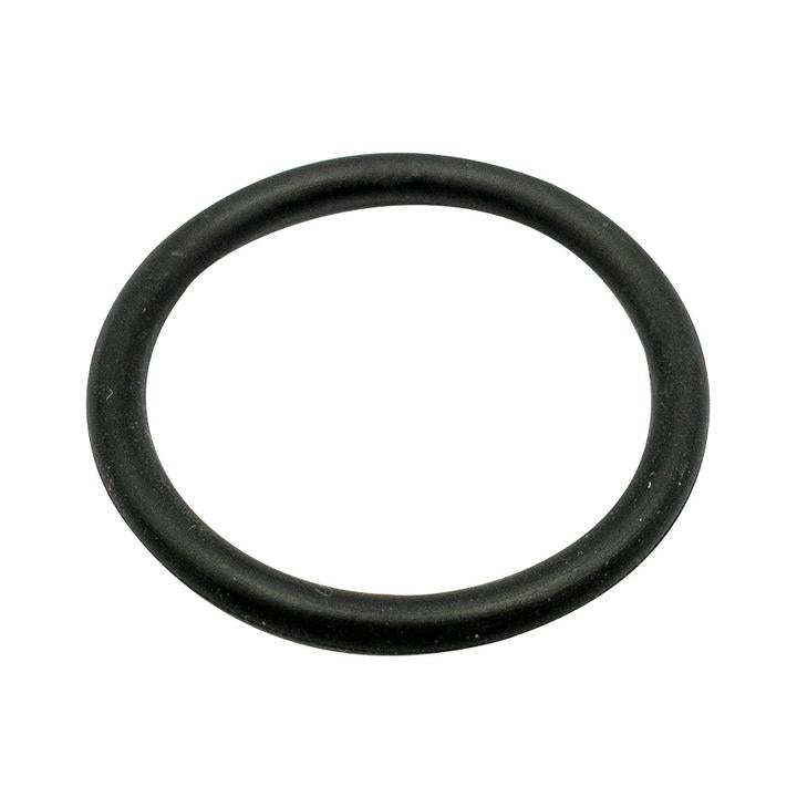 Champion Nitrile Rubber O Ring 70 Shore Black M17 x 2.5mm COR216