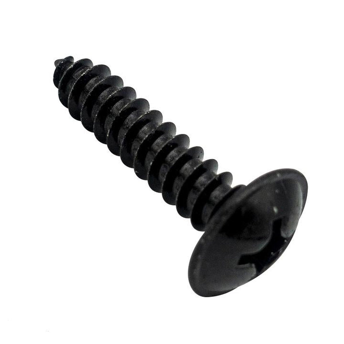 Champion Screw Self Tapp Mushroom Head Phillips 4.8mm x 19mm 100Pk CST310