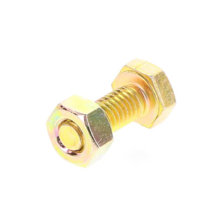 Champion Bolt & Nut Pack Metric M6 x 16mm BM21