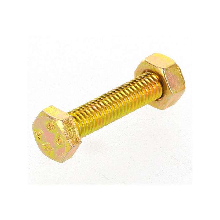 Champion Bolt & Nut Pack Metric M6 x 30mm BM25