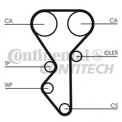 Contitech Timing Belt CT955